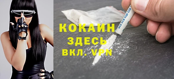 трава Няндома