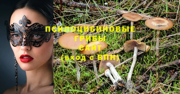 трава Няндома
