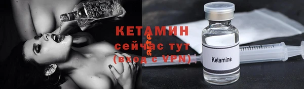 трава Няндома