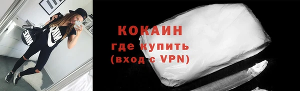 трава Няндома