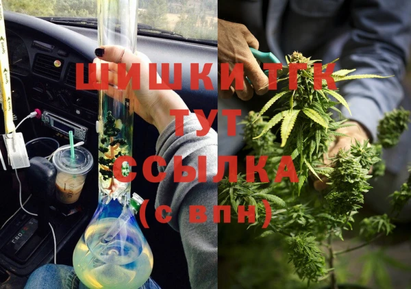трава Няндома
