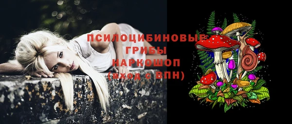 первитин Нягань
