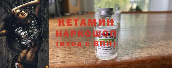 трава Няндома