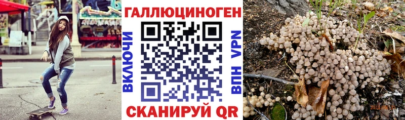 Галлюциногенные грибы Psilocybe  Купить  Армавир 